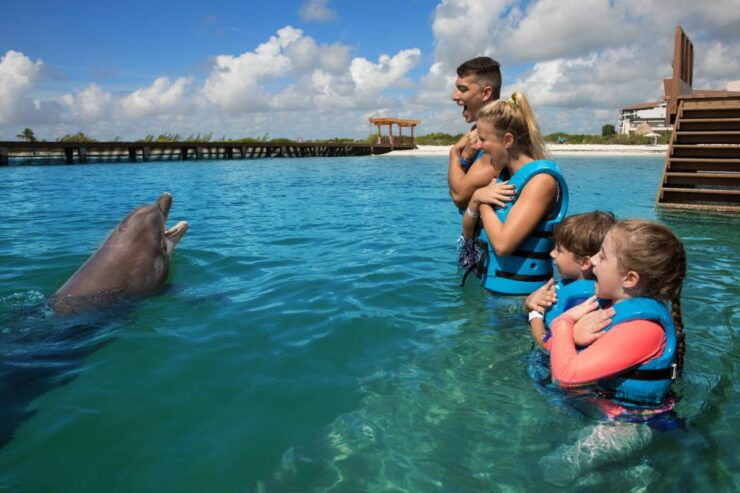 Swim With Dolphins Supreme - Playa Mujeres - Experience Information