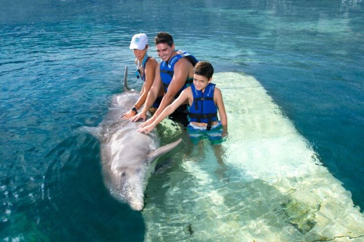 Swim With Dolphins - Supreme - Puerto Morelos - Experience Information