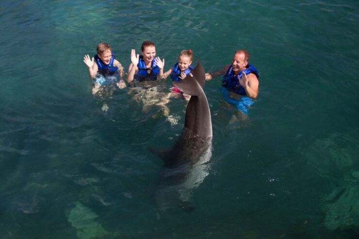 Swim With Dolphins Supreme - Riviera Maya - Ticket Details