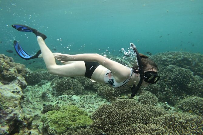 Swim With Manta Rays and Day Tour to Lembongan From Bali (A) - Additional Information