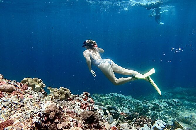 Swim With Manta Rays and Day Tour to Lembongan From Bali (A) - The Sum Up and Final Notes