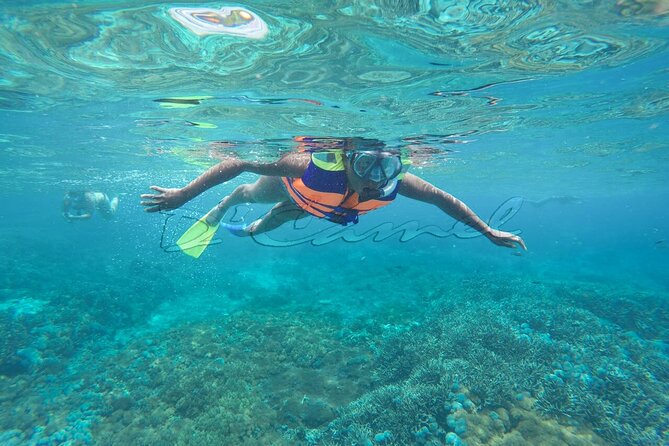 Swim With Manta Rays : Snorkeling Day Trip From Bali - Boat Transfer Information