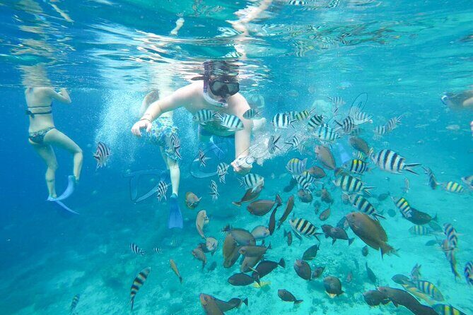 Swim With Manta Rays Snorkeling Nusa Penida - Good To Know