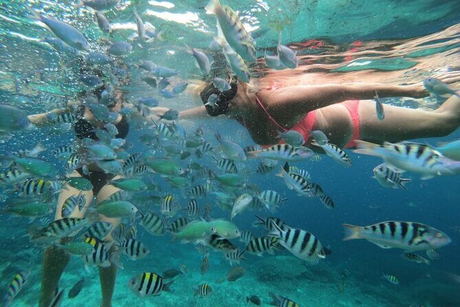 Swim With Manta Rays Snorkeling Nusa Penida - Transport, Duration, and Overall Value