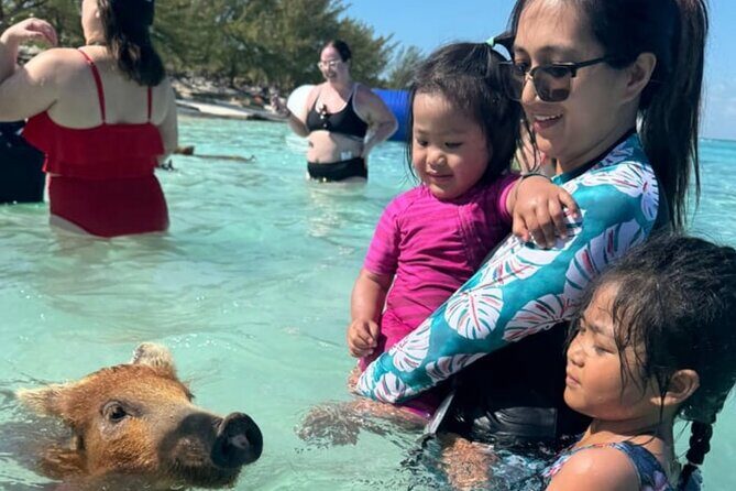 Swim with Pigs and Beach Snorkeling Adventure Rose Island Bahamas - Good To Know
