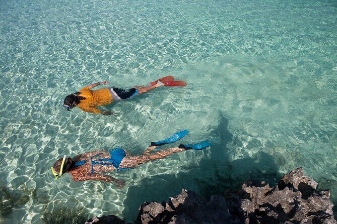 Swim with Pigs and Beach Snorkeling Adventure Rose Island Bahamas - FAQs