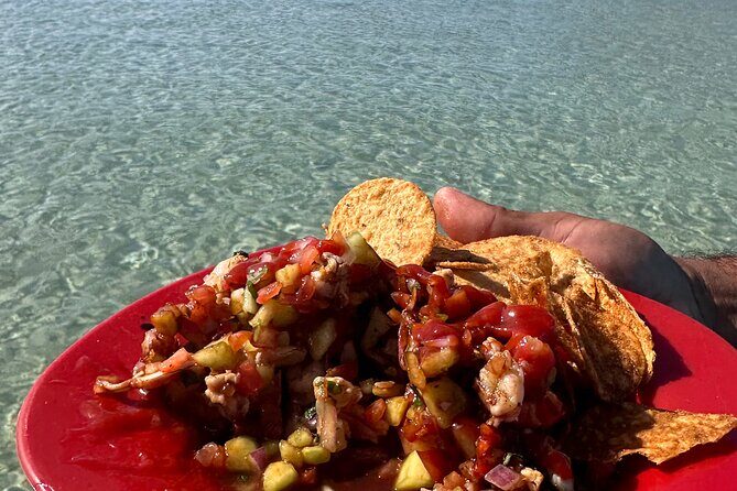 Swim with Sea Lions in La Paz - Who Would Love This Tour?
