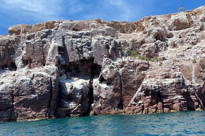 Swim with Sea Lions in La Paz - The Sum Up