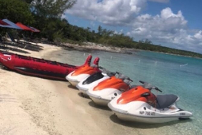 Swim With the Pigs and Explore Caves in Nassau - Additional Information