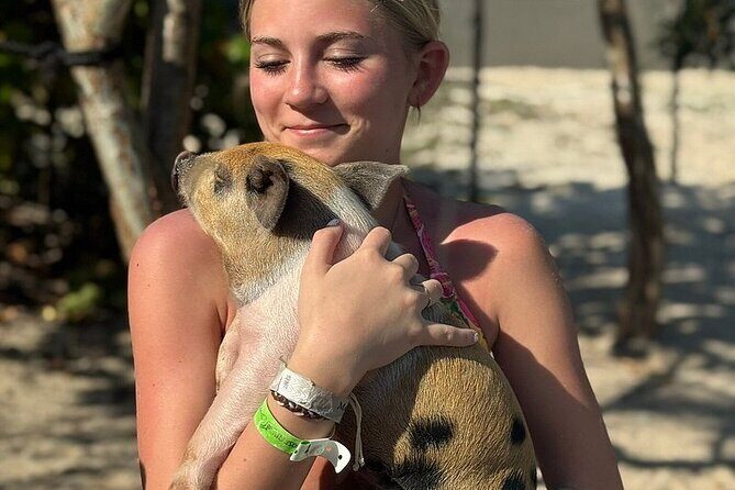 Swim with the Pigs Freeport @Creative Eco Adventures - Price and Value Analysis