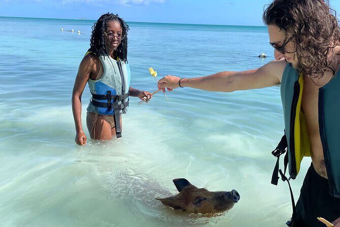 Swim with the Pigs Freeport @Creative Eco Adventures - Authenticity and Family Friendly Vibe