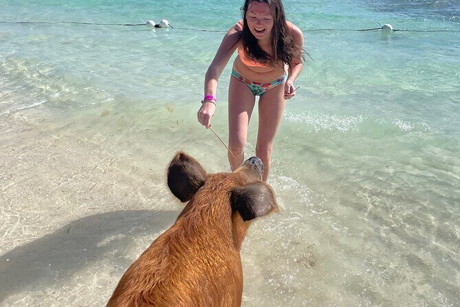 Swim with the Pigs Freeport @Creative Eco Adventures - Frequently Asked Questions