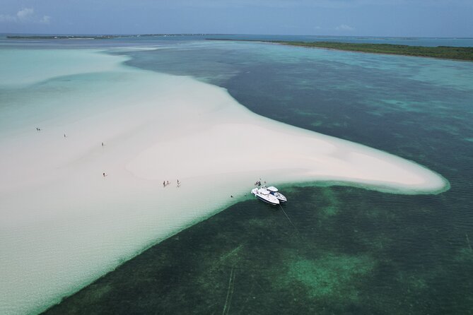 Swim With the Pigs! Half Day Harbour Island Private Boat Tour - Tour Highlights