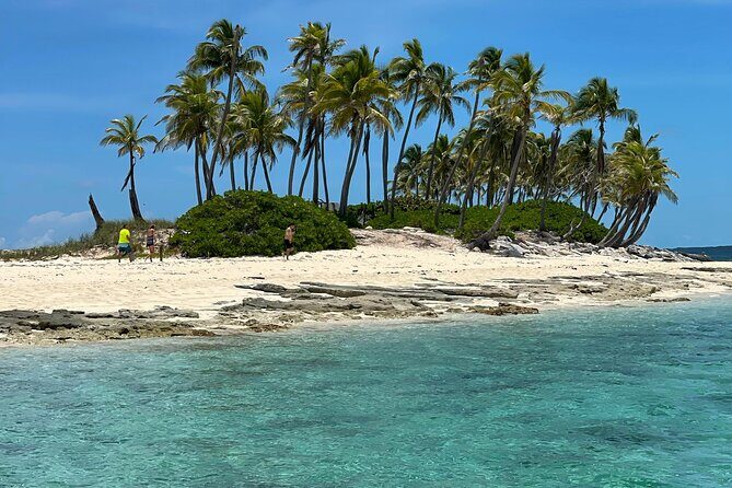 Swim with the Pigs Safari in Bahamas (2hrs) - Logistics and Practical Details