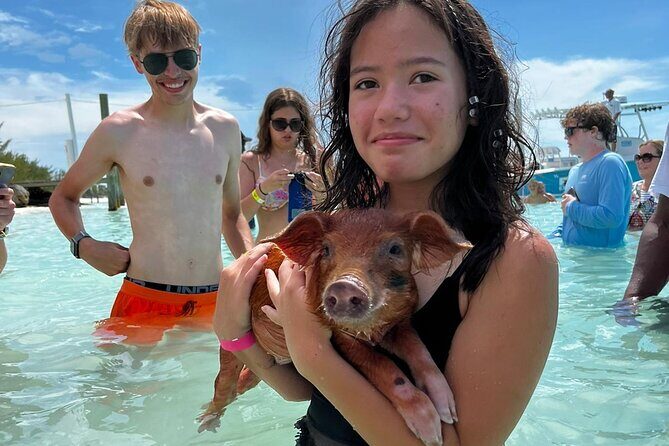 Swim with the Pigs Safari in Bahamas (2hrs) - Authentic Insights from Travelers