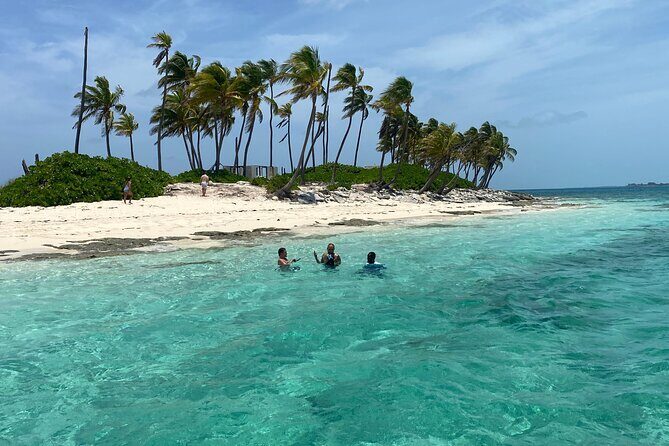 Swim with the Pigs Safari in Bahamas (2hrs) - The Sum Up: Value and Authenticity in a Compact Package