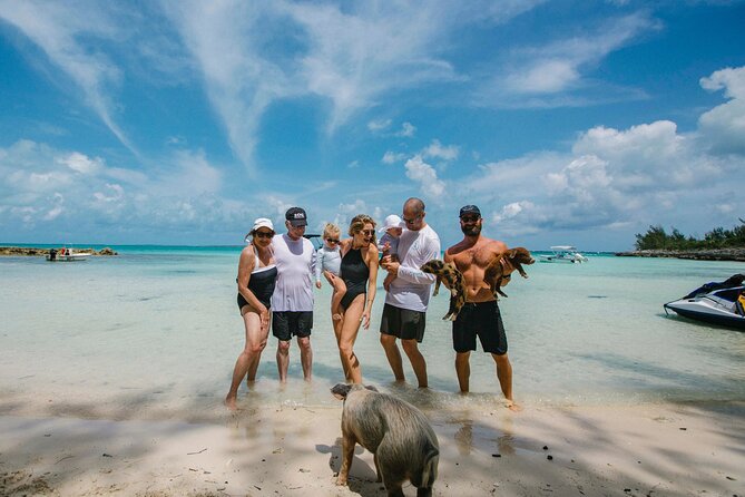 Swim With the Turtles! Harbour Island Luxury Private Boat Tour - Traveler Photos and Reviews