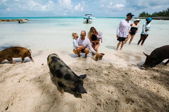 Swim With the Turtles! Harbour Island Luxury Private Boat Tour - Directions