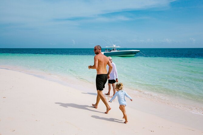 Swim With the Turtles! Harbour Island Luxury Private Boat Tour - Background
