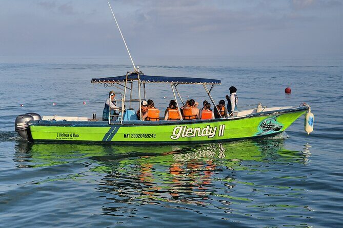 Swim with the Whale Shark on Holbox Island - Practical Details and Value
