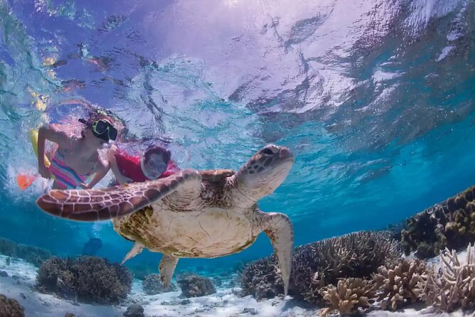 Swim With Turtles ATV Ziplines Cenote Lunch - Participant Requirements
