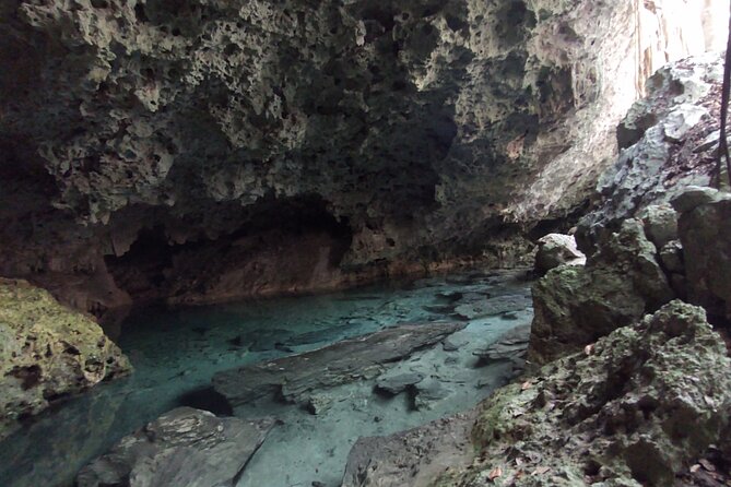 Swim With Turtles ATV Ziplines Cenote Lunch - Common Questions