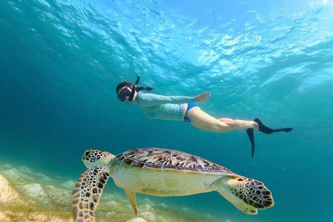 Swim with Turtles in Akumal, Cenote and Visit the Archaeological Zone - Good To Know