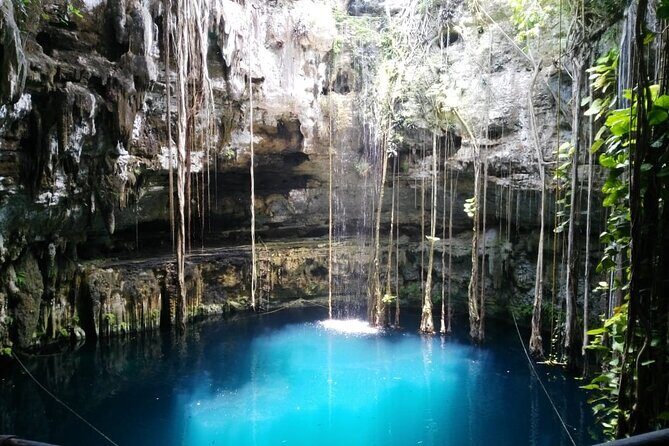 Swim with turtles + snorkelling + archaeological zone of Tulúm + cenote - The Sum Up