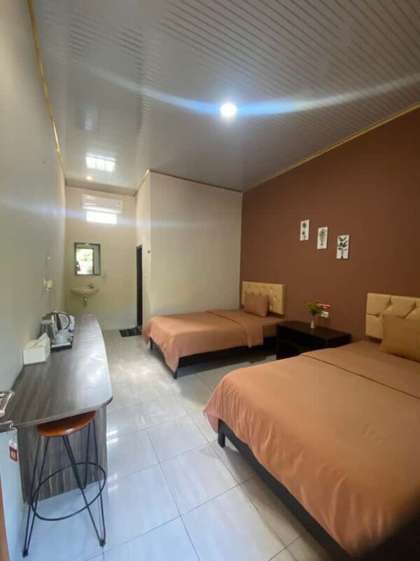 Swim with Whale Sharks 2D1N LombokSumbawa Sharing - Who Would Love This Tour?