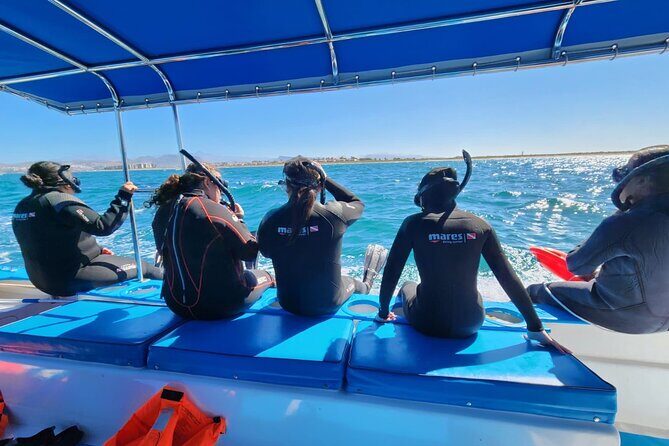 Swim with Whale Sharks in La Paz - An In-Depth Look at the Whale Shark Tour in La Paz