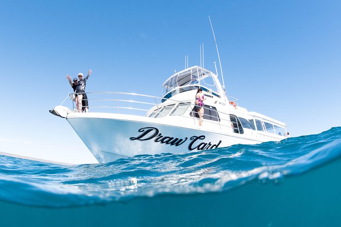 Swim With Whale Sharks in the Ningaloo Reef: 3 Island Shark Dive - The Sum Up
