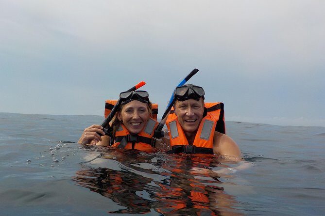 Swim with whale sharks on a private tour - The Detailed Experience