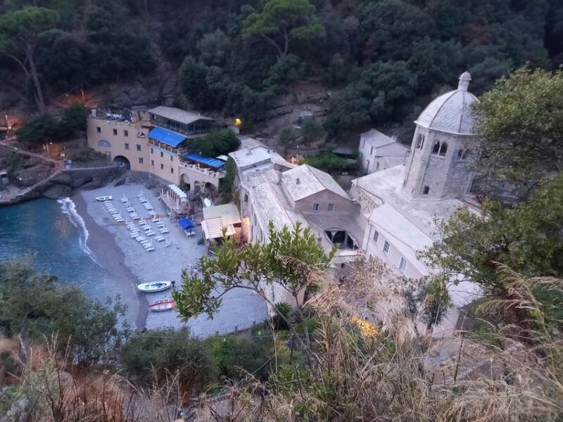 Swimming Cetacea Private Tour Boat Genova Portofino - An In-Depth Look at the Tour Experience