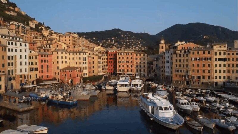 Swimming Cetacea Private Tour Boat Genova Portofino - Pricing and Value