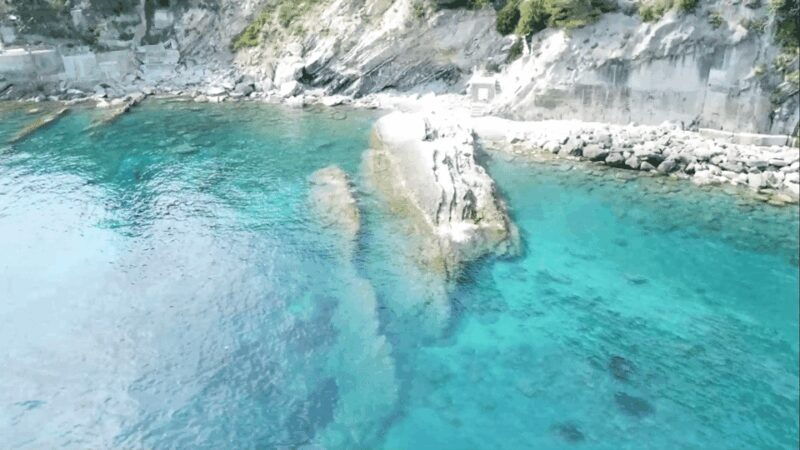 Swimming Cetacea Private Tour Boat Genova Portofino - Final Thoughts