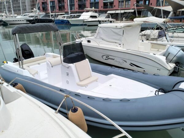 Swimming Cetacea Private Tour Boat Genova Portofino - Booking and Cancellation Policy