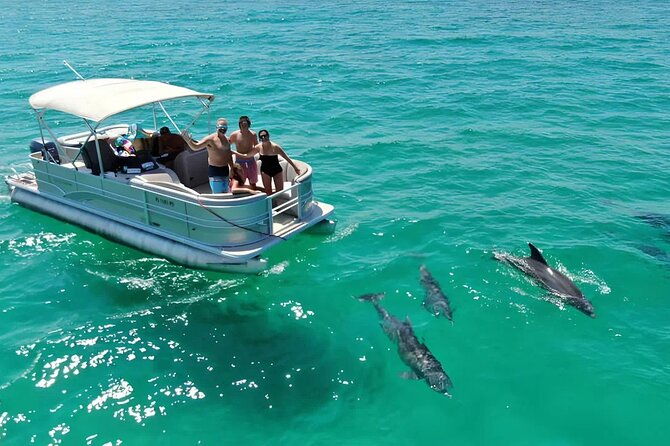 Swimming in a Dolphin and Manatee Lagoon Boat Tour - Exploring the Indian River Lagoon: A Detailed Review of the Dolphin and Manatee Boat Tour