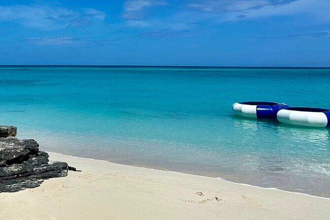 Swimming Pigs Encounter and Rose Island Beach Day Adventure - What to Expect from the Tour