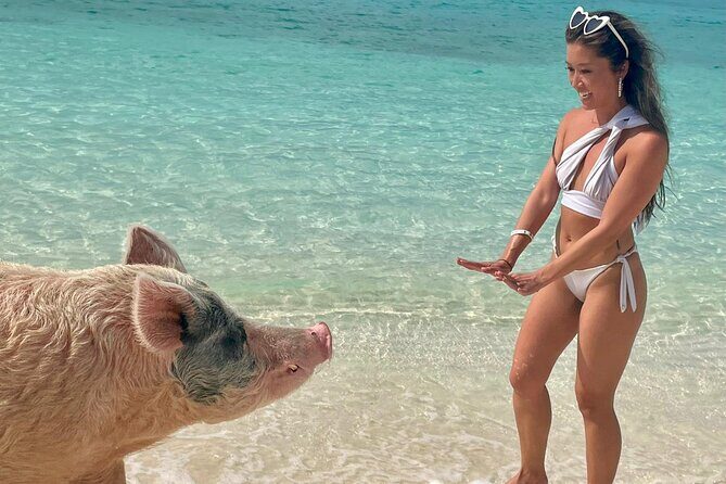 Swimming Pigs Encounter and Rose Island Beach Day Adventure - Who Should Book This Tour?