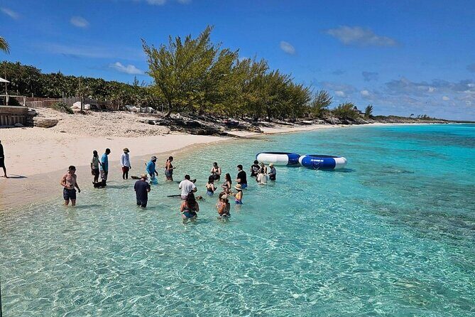 Swimming Pigs Encounter and Rose Island Beach Day Adventure - The Sum Up