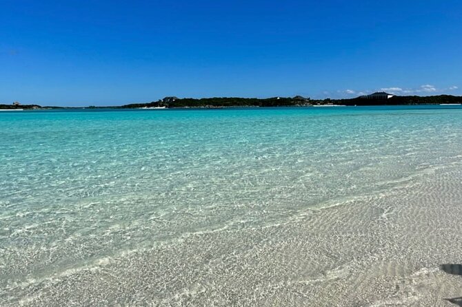 Swimming Pigs Exuma Private Tour (8hrs) - Overview of Swimming Pigs Exuma Tour