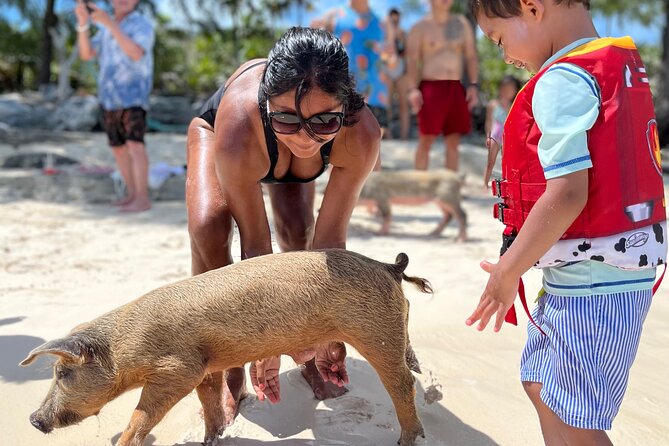 Swimming Pigs Tour on Rose Island - Traveler Photos
