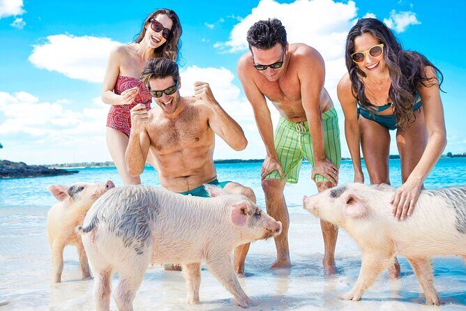 Swimming Pigs, Turtles & Reef Snorkel in Nassau-Champion Tours - Introduction