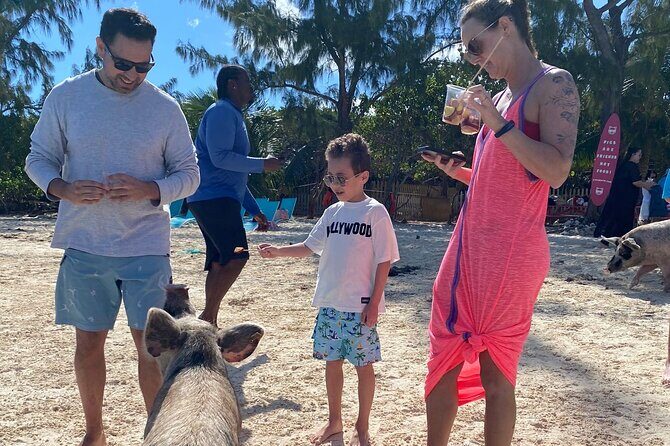 Swimming Pigs, Turtles & Reef Snorkel in Nassau-Champion Tours - A Deep Dive into the Nassau Boat Tour Experience