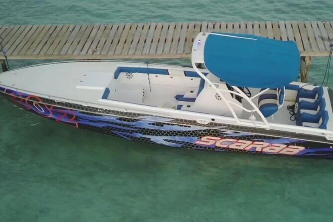 Swimming Pigs, Turtles & Reef Snorkel in Nassau-Champion Tours - FAQ