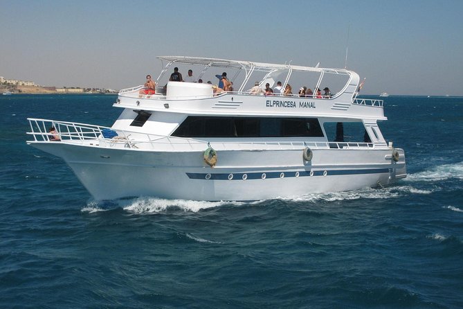 Swimming With Dolphin VIP Snorkeling Sea Trip With Lunch and Transfer - Hurghada - Overall Satisfaction