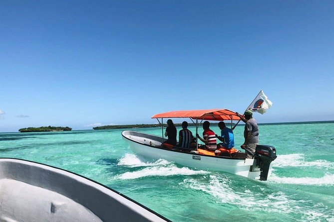 Swimming With Dolphins in Zanzibar - Meeting and Pickup