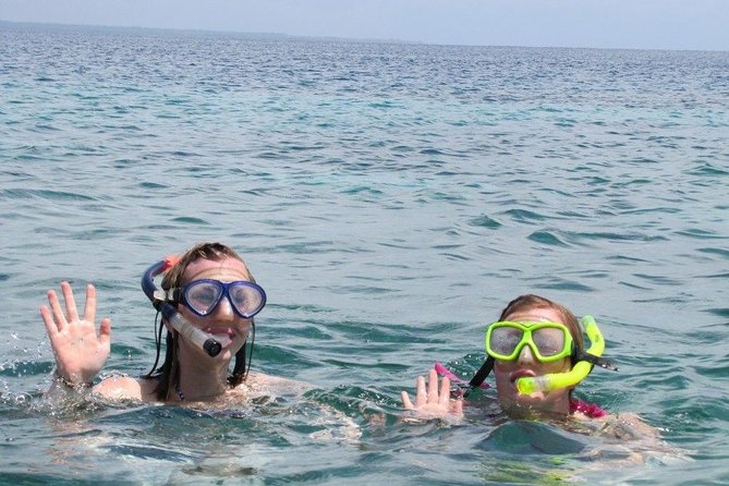 Swimming With Dolphins in Zanzibar - Pricing