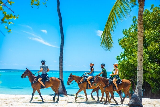 Swimming With Horses at the Beach From Punta Cana Free Transportation - Price and Booking