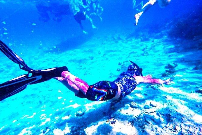 Swimming With Pigs in Exuma Private Tour From Nassau - Pricing Details